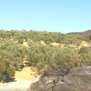 yanginin ortasinda temizlik kurtardi zme2VAl4