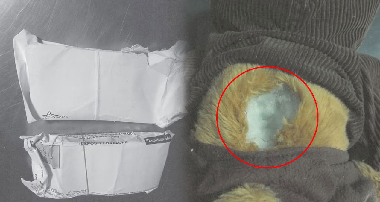 bu oyuncak ayiyla kurtarma operasyonu yaptigini sandi 563 bin tl buhar oldu ya3xvu7M