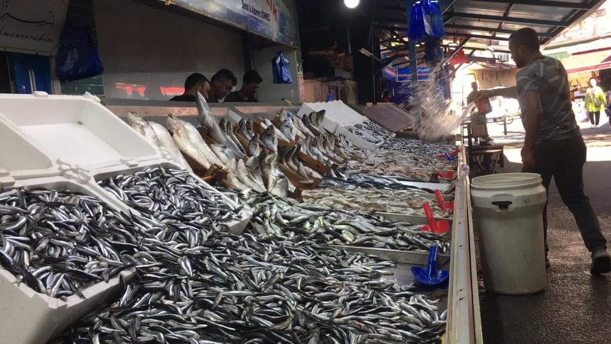 hamsiden iyi haber bereketiyle geliyor iste hamsinin satis fiyati Mn9MsHU8