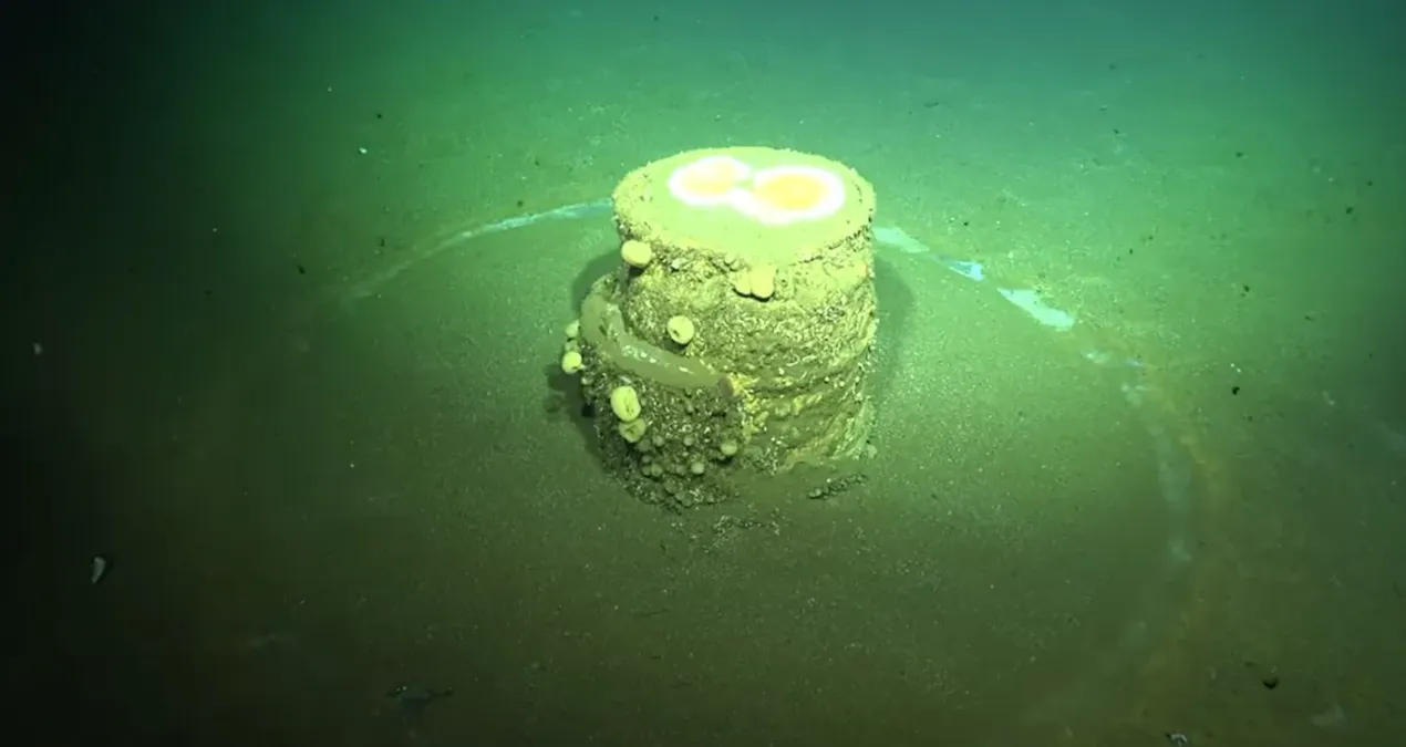 okyanus tabanindaki gizemli halkalar zehirli sirri aciga cikardi OGRnuX6M