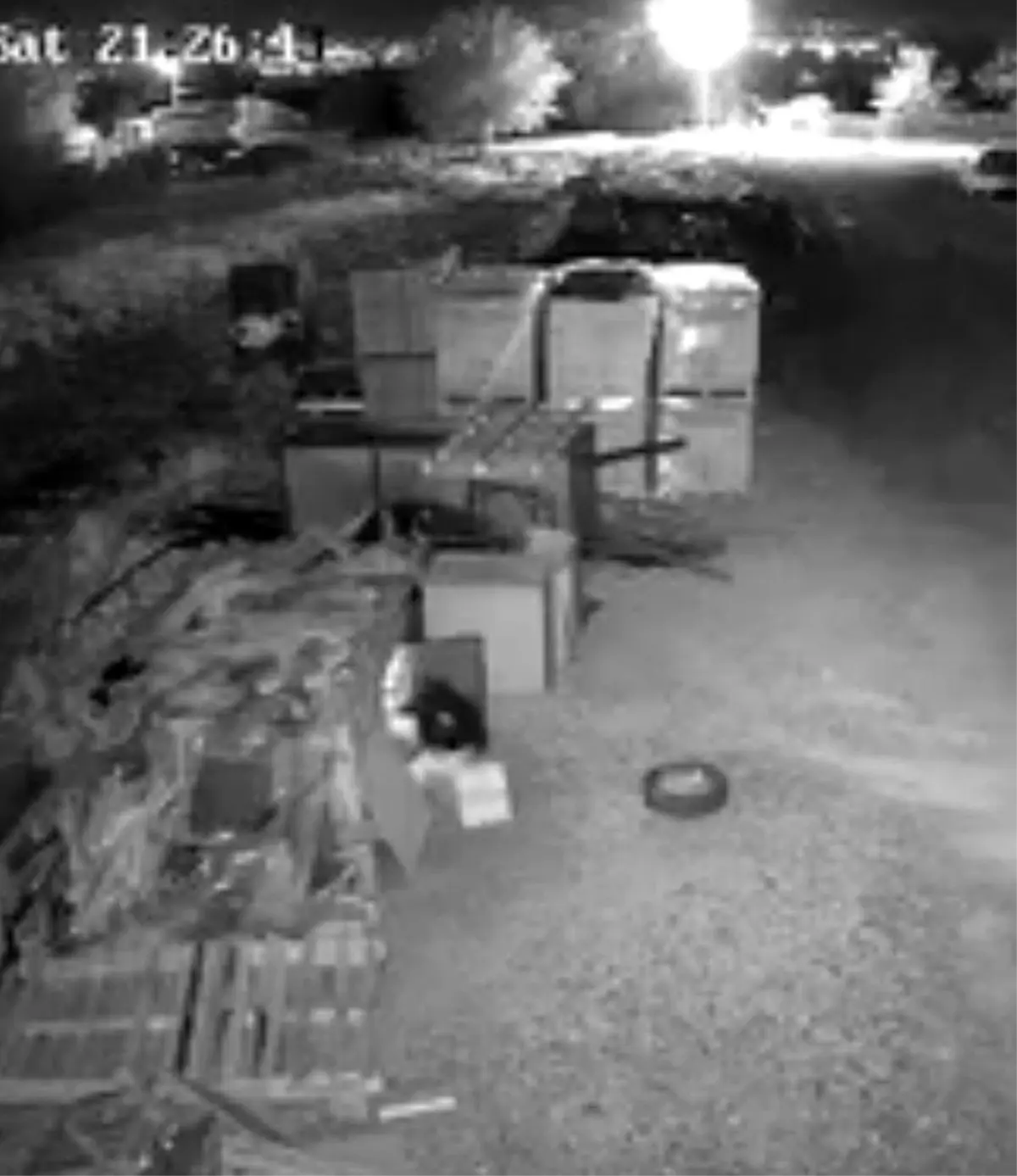 elazigda guvercin hirsizligi guvenlik kamerasinda fxK63Fvj.jpg