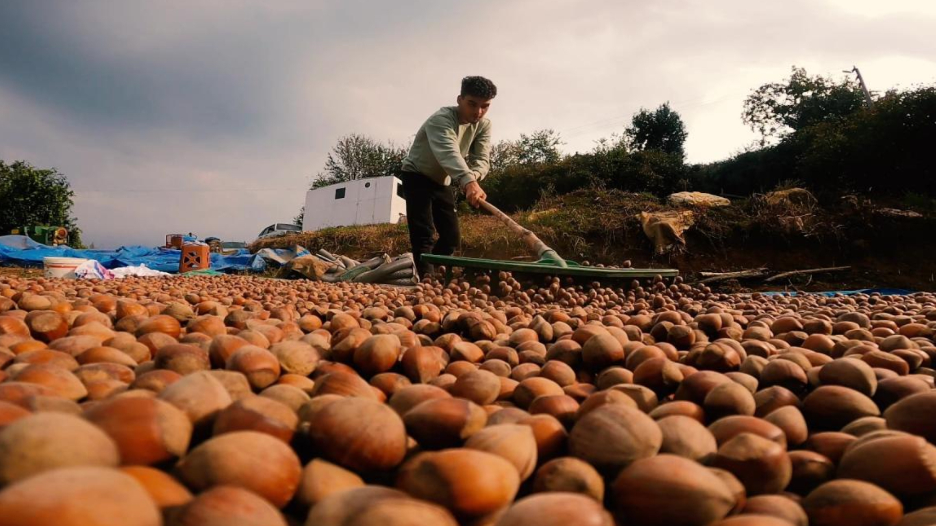 turkiye findik ihracatindan 9 ayda 16 milyar dolari askin gelir sagladi gKT5IB8z.jpg