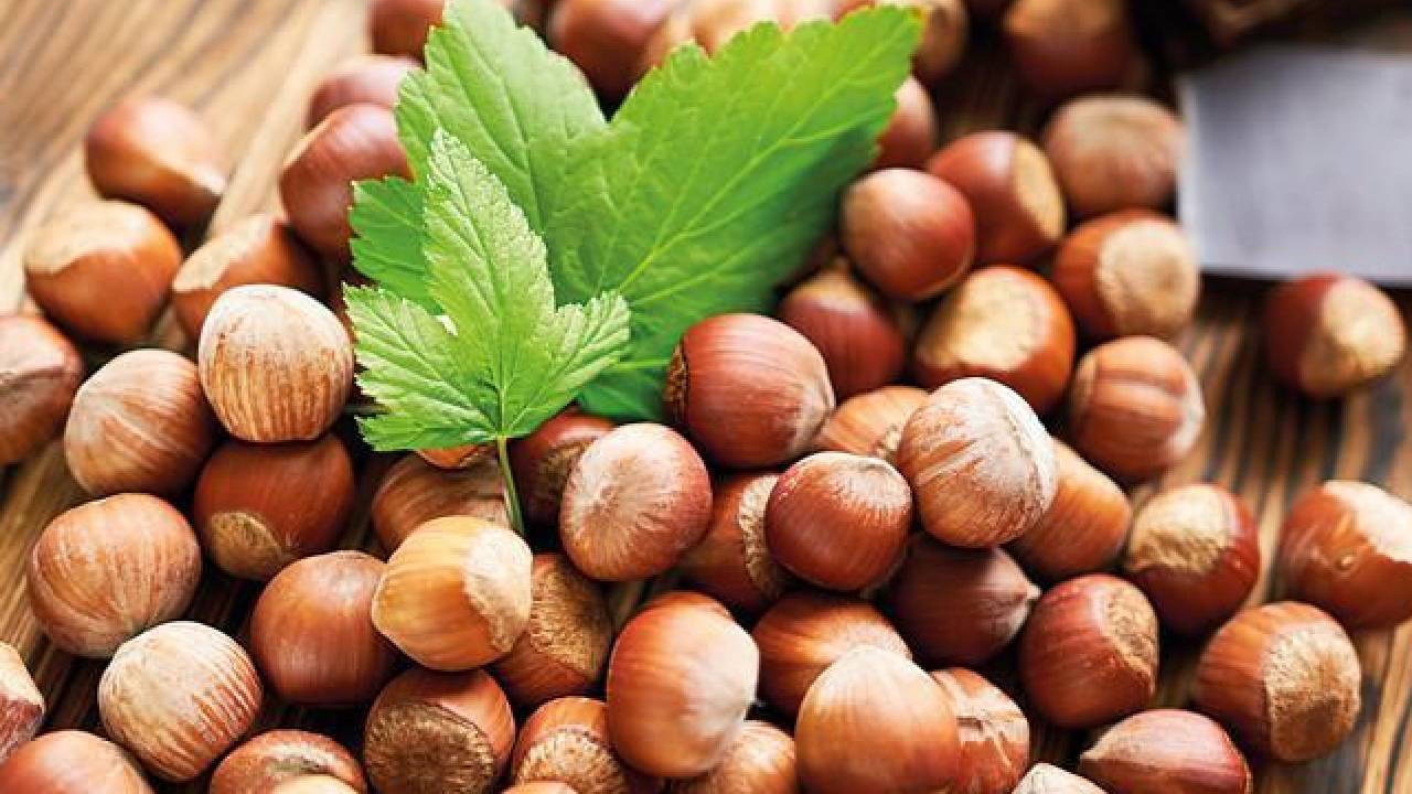 ferrero iddiasi tartisma yaratti findigi yeriz bu numarayi yemeyiz WfBjic6c.jpg